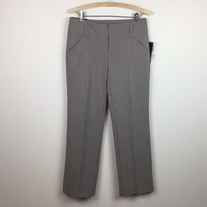 Daisy Fuentes - Straight Leg / Mid Rise Pants